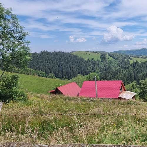 Ride & Explore: KTM 390 ADVENTURE in actiune