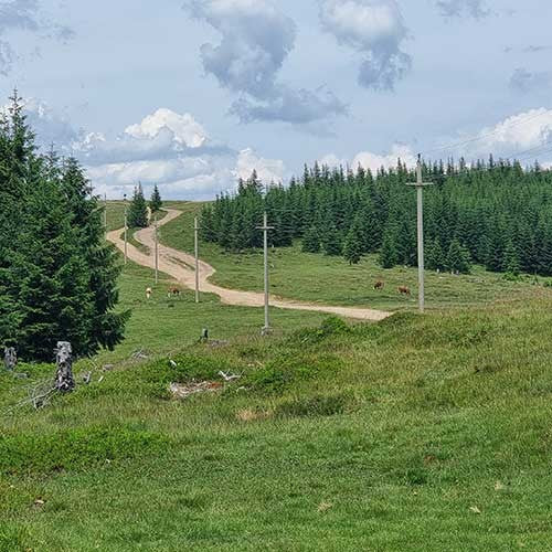 Ride & Explore: KTM 390 ADVENTURE in actiune