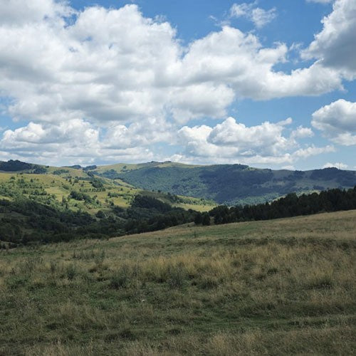 Ride & Explore: KTM 390 ADVENTURE in actiune