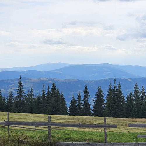 Ride & Explore: KTM 390 ADVENTURE in actiune