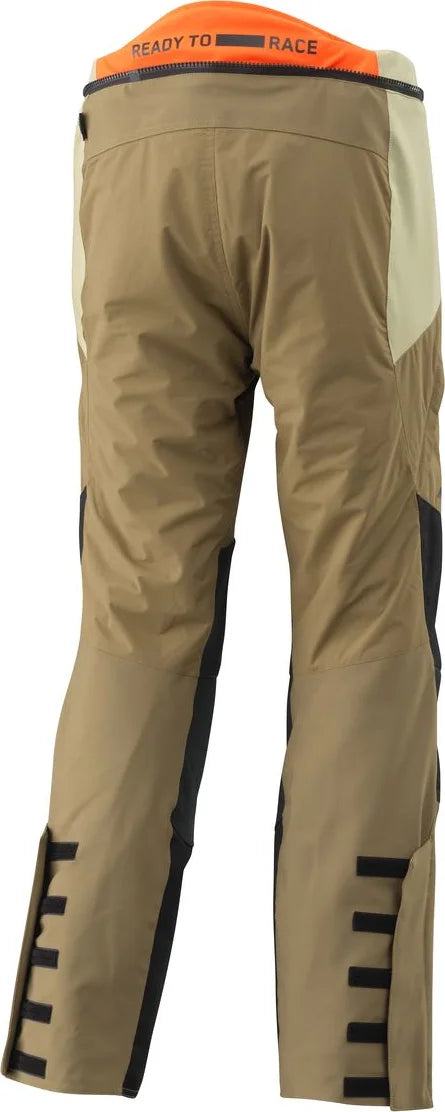 Safari