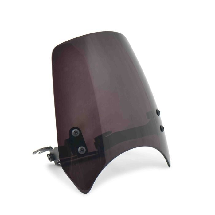 Parbriz fumuriu 450CL-C