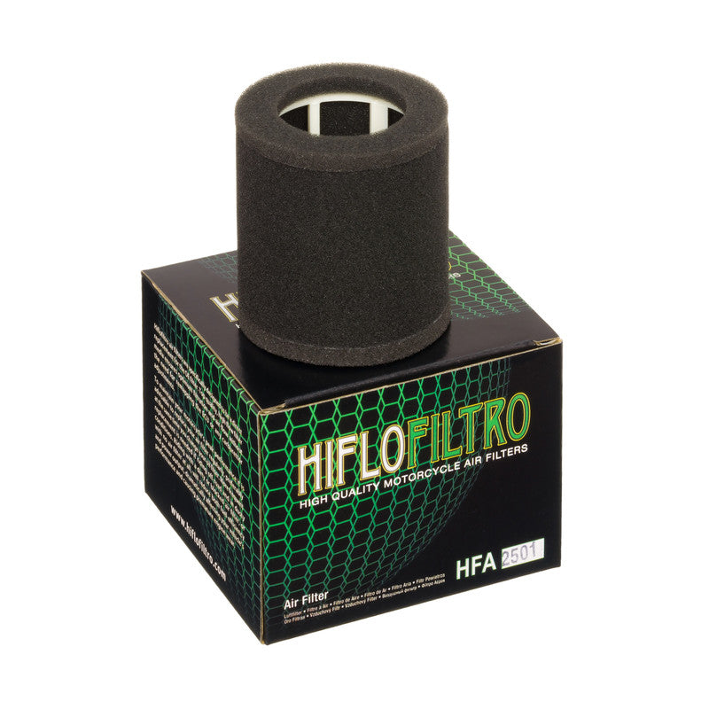 Hiflofiltro HIFLO - Filtru aer HFA2501 - EN500A/B -'95
